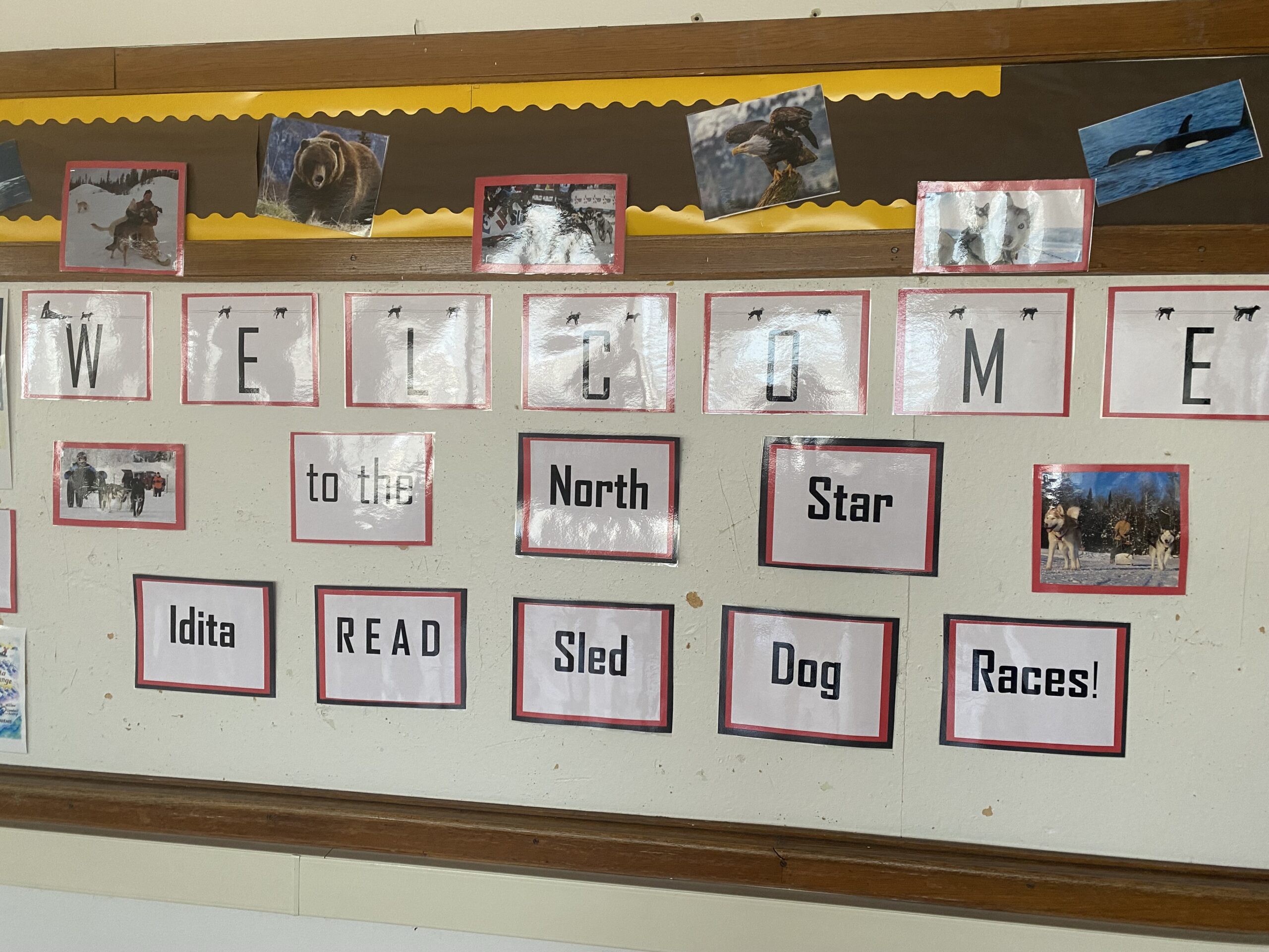 and-they-re-off-north-star-elementary-school